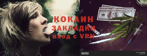 ПСИЛОЦИБИНОВЫЕ ГРИБЫ Абаза