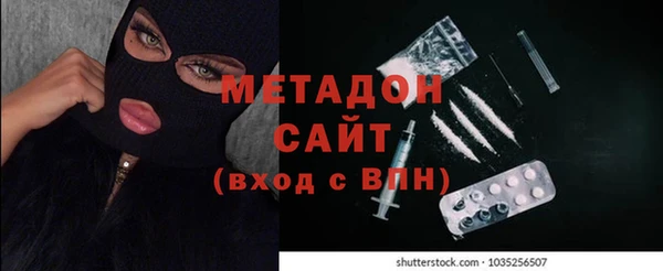 ПСИЛОЦИБИНОВЫЕ ГРИБЫ Абаза