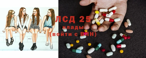 ПСИЛОЦИБИНОВЫЕ ГРИБЫ Абаза