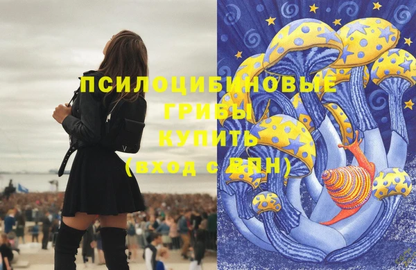 ешки Абинск