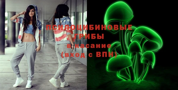 ПСИЛОЦИБИНОВЫЕ ГРИБЫ Абаза