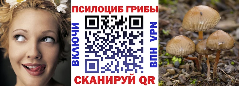 Галлюциногенные грибы Psilocybine cubensis  где можно купить   Инза 