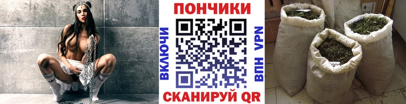 Бошки марихуана ГИДРОПОН  Инза 